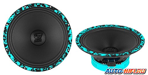 Среднечастотная акустика DL Audio Raven 250 V.3